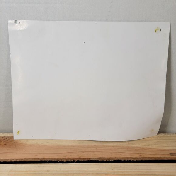 Houston Texans Cheerleaders Picture w/ 11 Autographs 8.5" X 11" - Picture 6 of 9